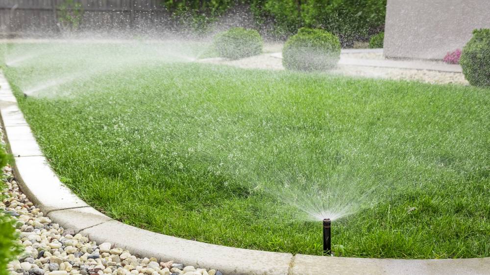 Hydroseeding vs. Sod
