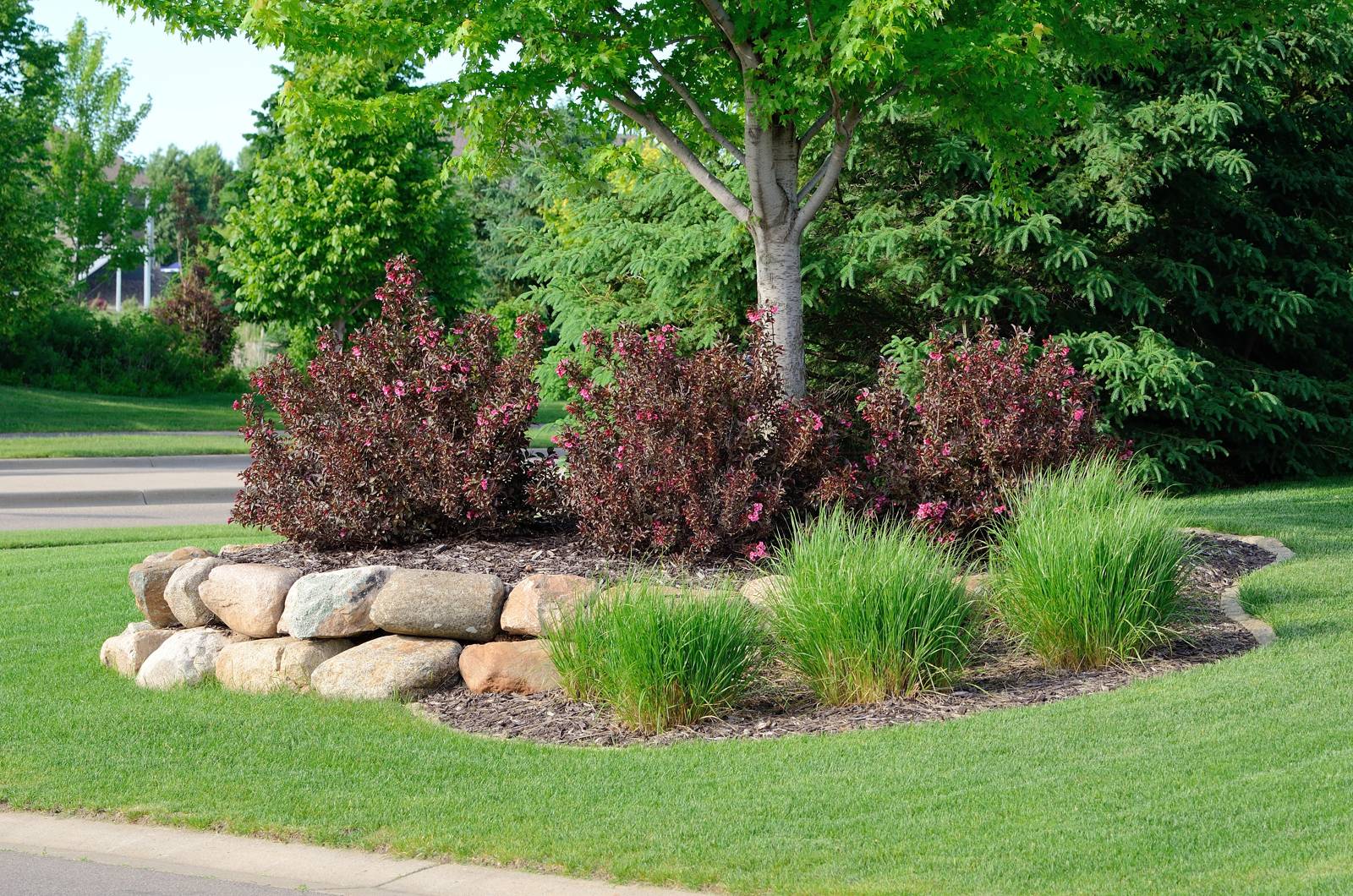 Contact Our Elberton Grading Contractor
