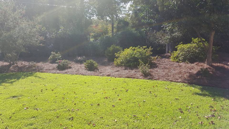 Hydroseeding to Grow Grass on Large Lots and Steep Slopes